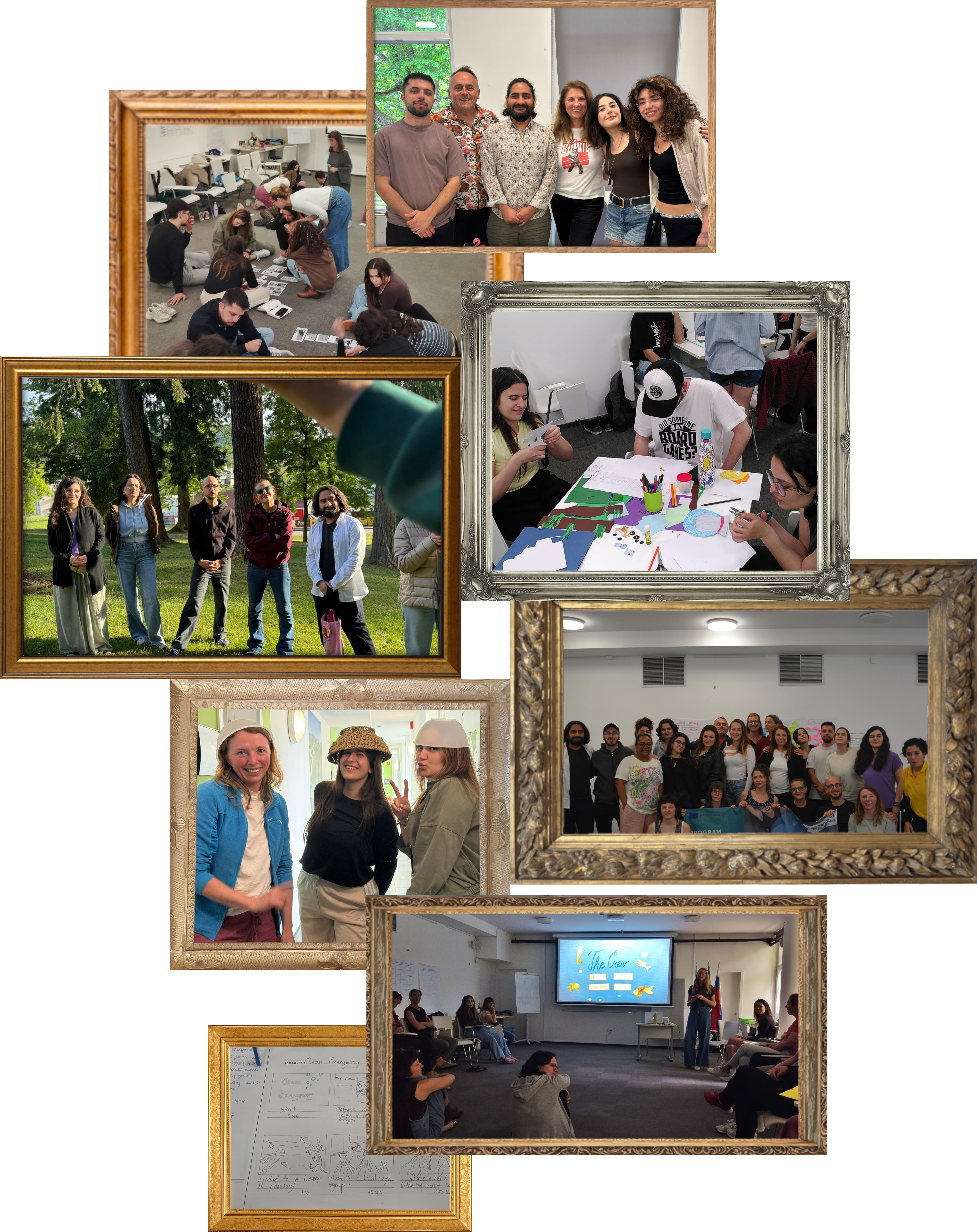 Small Frames, Big Stories: Framing Inclusion project cover